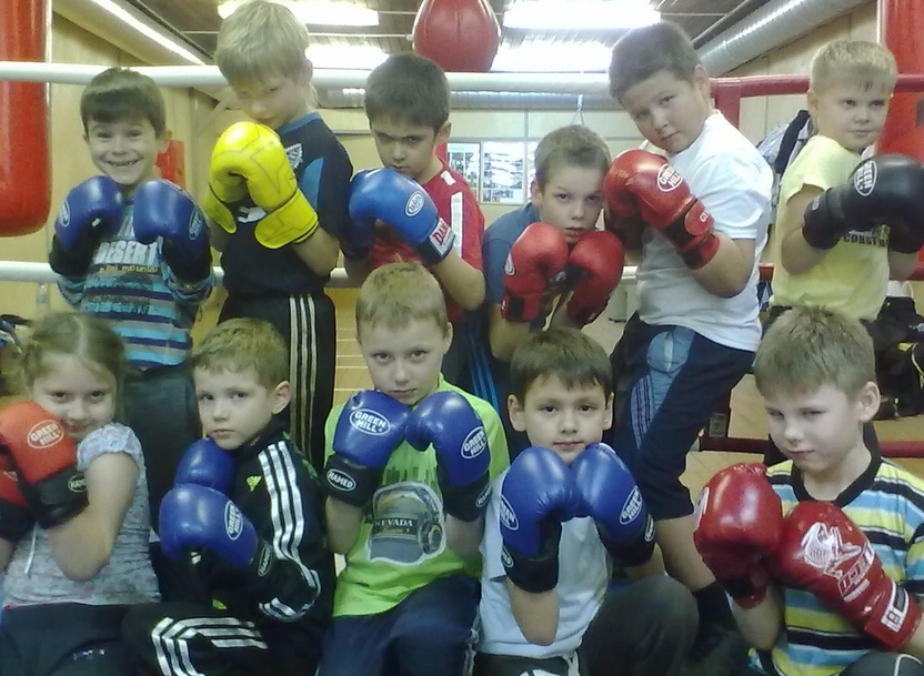 Бокс новости